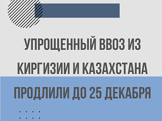 ФТС разъяснила процесс «упрощённого» ввоза и что необходимо сделать до 27 декабря