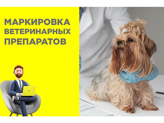 Регламент маркировки ветеринарных препаратов: новые правила с 2026 года