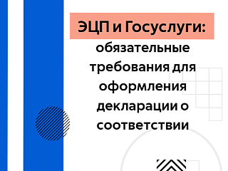 ЭЦП и Госуслуги: обязательные требования для оформления декларации о соответствии